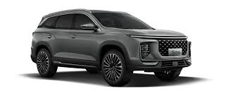 Soueast 09 automatique or similar